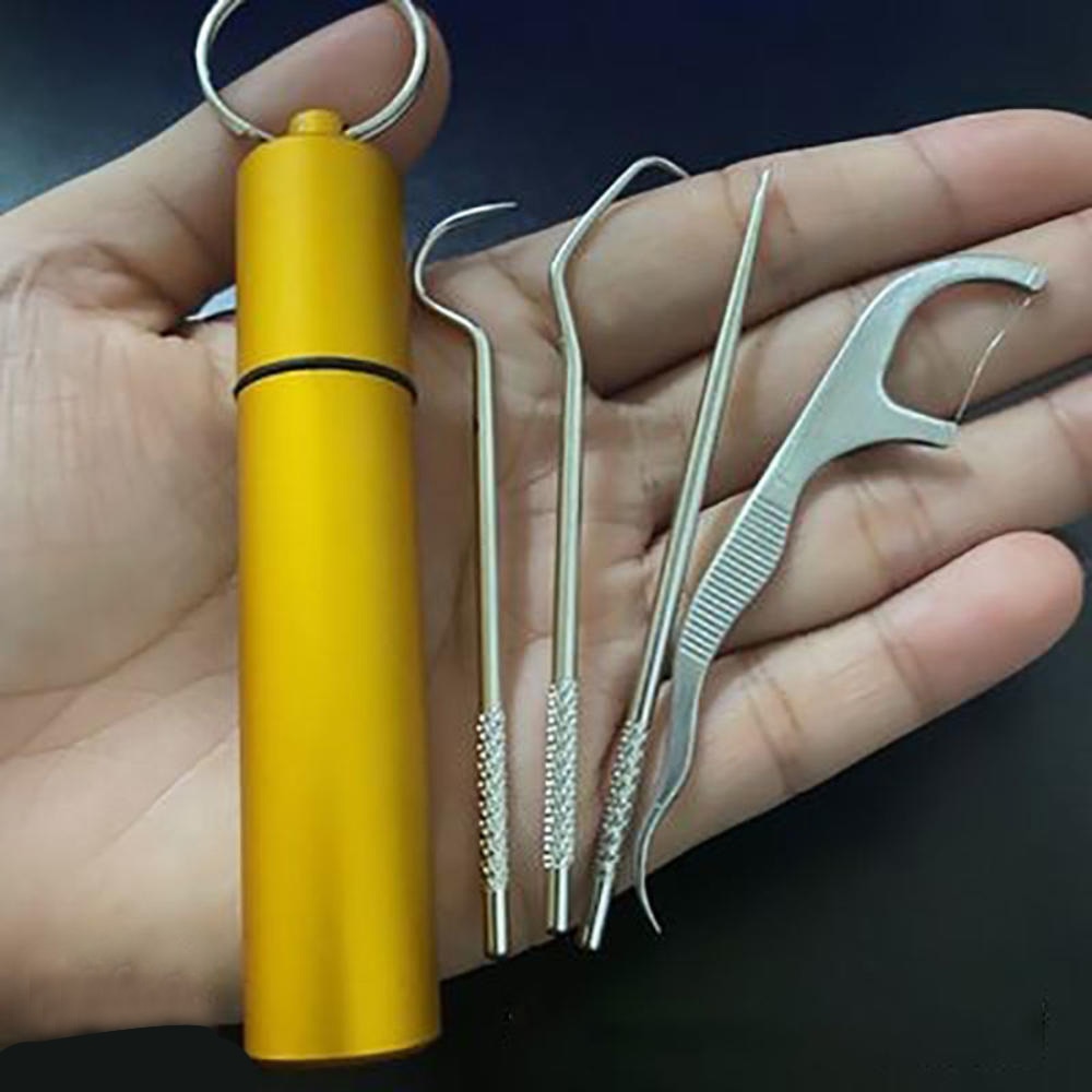 Stainless Steel Oral Cleaning Set