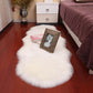 Stylish Plush Soft Faux Fur Carpet