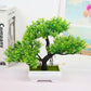 Japanese Blooming Bonsai Tree Decoration (artificial)