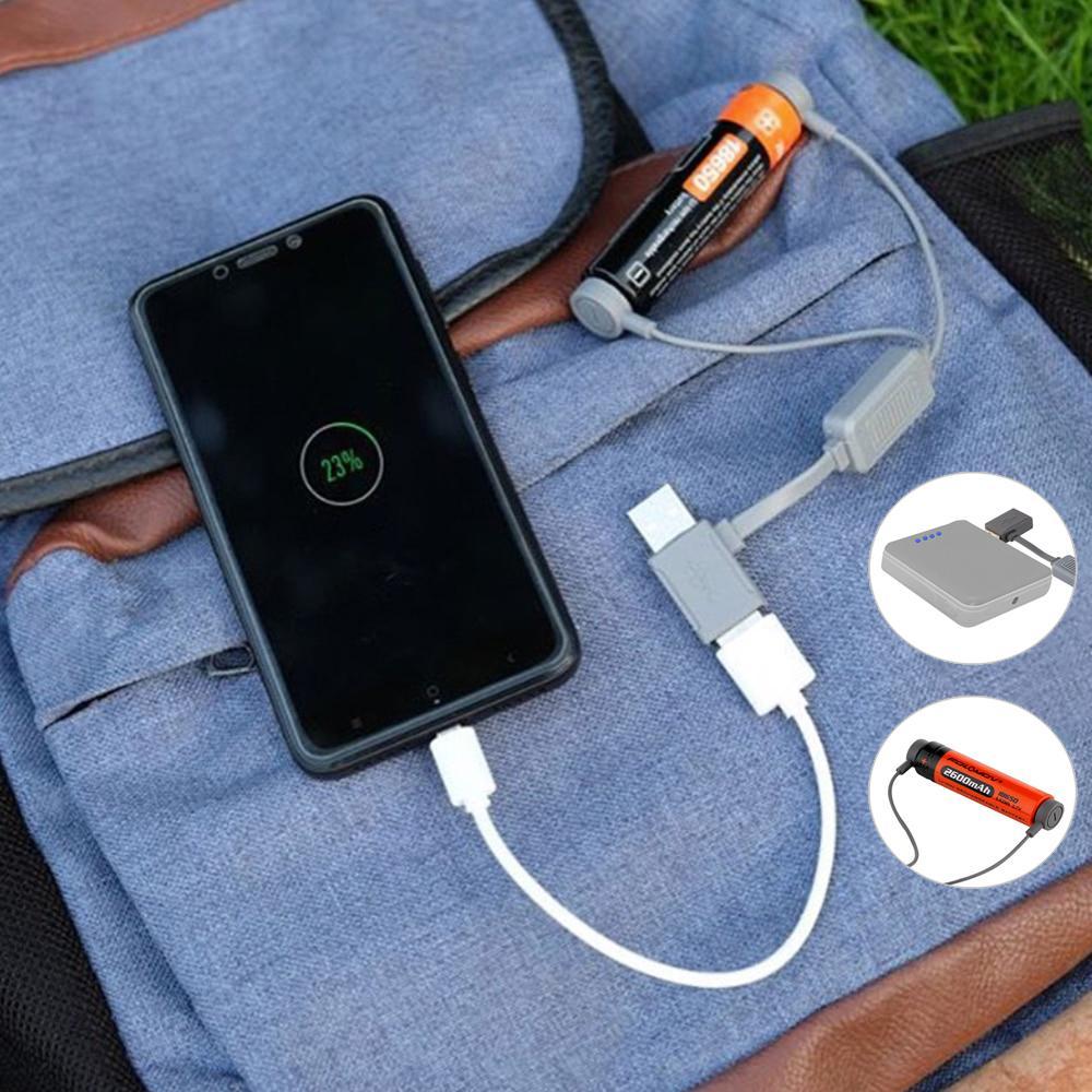 Magnetic USB Li-ion battery Charger - Indigo-Temple