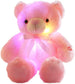 Colorful LED Glowing Bears