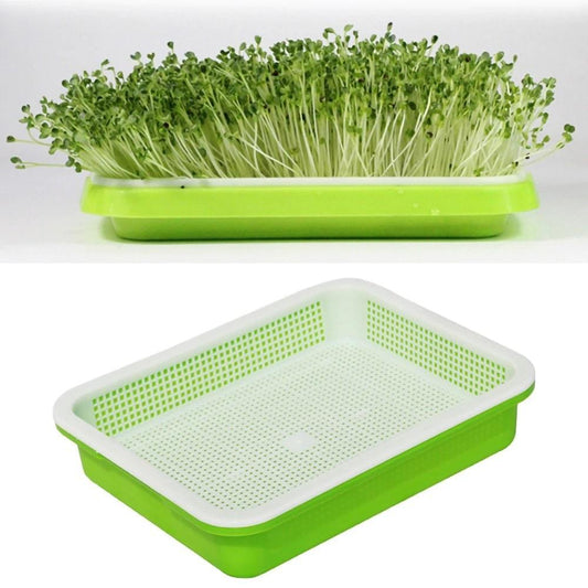 Microgreen Seed Sprouter Tray - BPA free