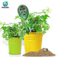 3 in 1 Soil Humidity & PH Tester