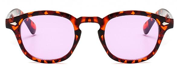 Hollywood Style Clear Tinted Lens Sunglasses