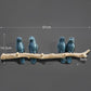 Elegant Bird Hanger Wall Decoration