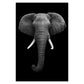 BLACK & WHITE AFRICAN ANIMAL CANVAS PAINTING