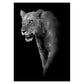 BLACK & WHITE AFRICAN ANIMAL CANVAS PAINTING