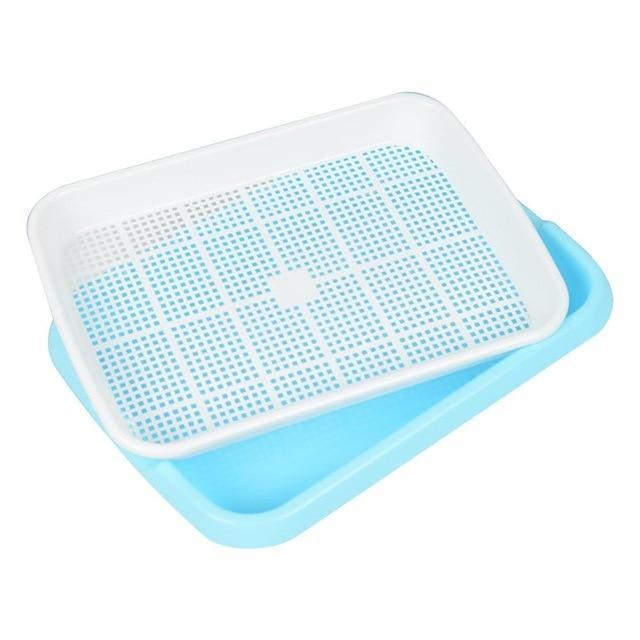 Microgreen Seed Sprouter Tray - BPA free