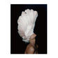 Lady Flower Art Canvas Painting