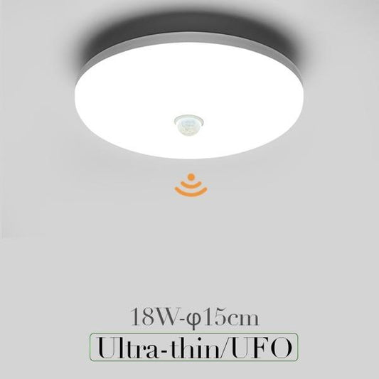 Modern LED Ceiling Lamp with Dynamic PIR Motion Sensor