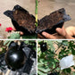 Plant Root Growing Ball (5pcs)