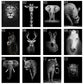 BLACK & WHITE AFRICAN ANIMAL CANVAS PAINTING