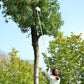 EZ Fruit Picker Garden Tool