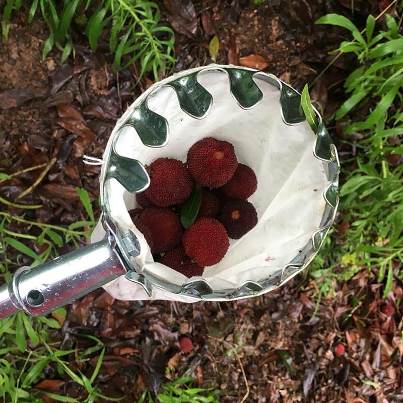 EZ Fruit Picker Garden Tool