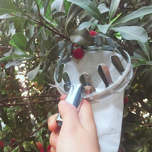 EZ Fruit Picker Garden Tool