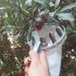 EZ Fruit Picker Garden Tool