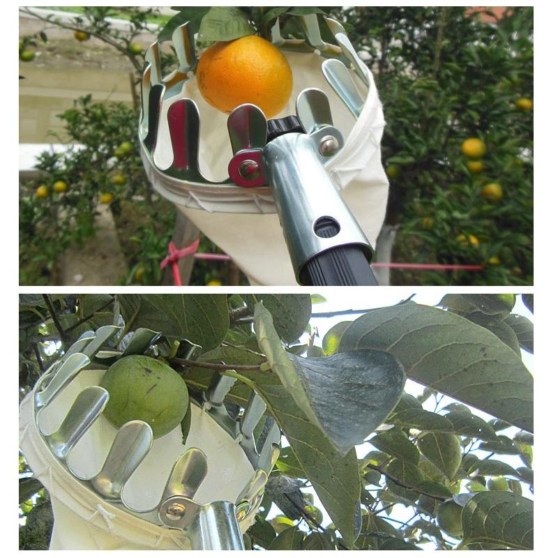 EZ Fruit Picker Garden Tool