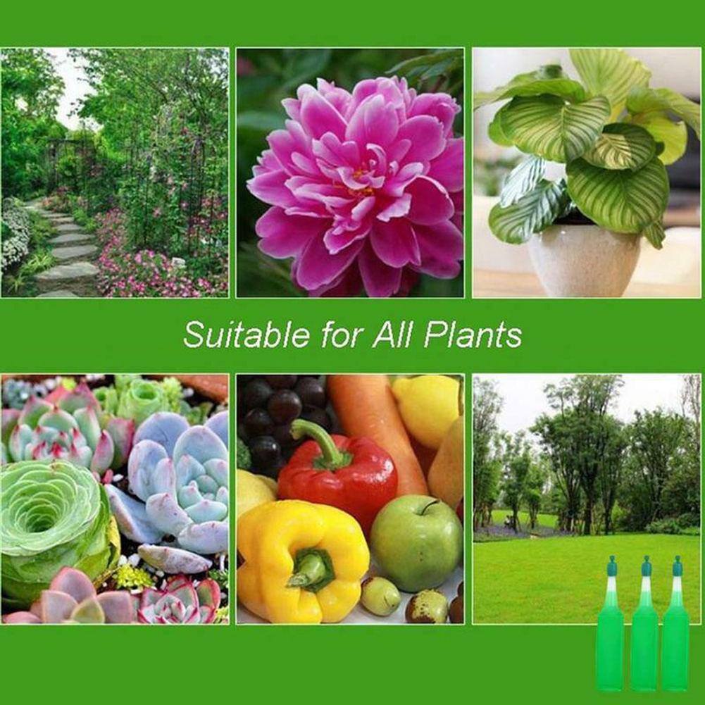 Hydroponic Organic Vegetables Liquid Fertilizer (6 pcs set)