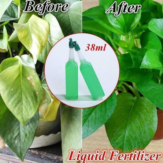 Hydroponic Organic Vegetables Liquid Fertilizer (6 pcs set)