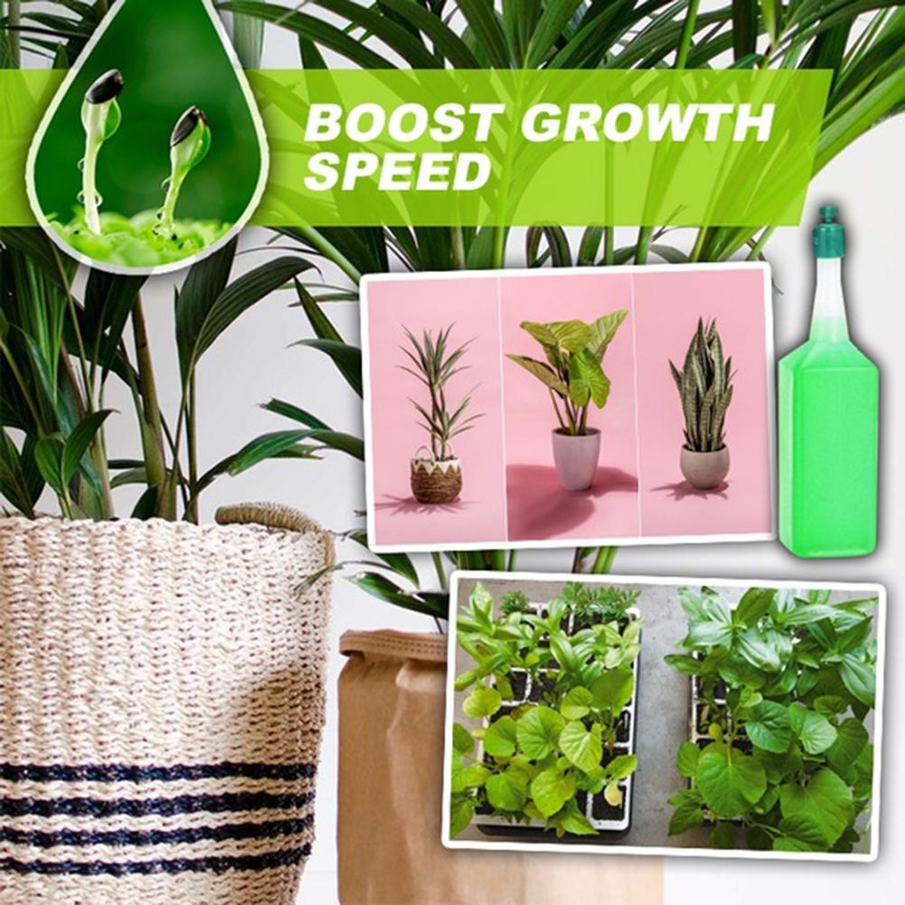 Hydroponic Organic Vegetables Liquid Fertilizer (6 pcs set)