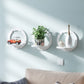 SCAFFALE™ Punch-Free Decoration Shelf Set