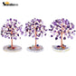 Natural Crystal Feng Shui Money Tree