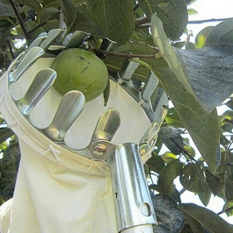 EZ Fruit Picker Garden Tool
