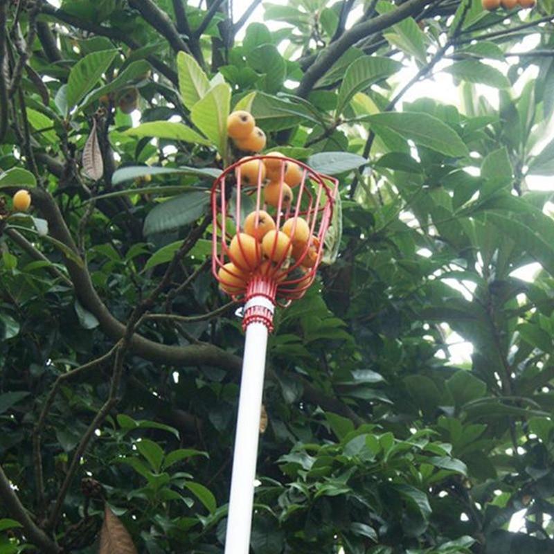 EZ Fruit Picker Garden Tool