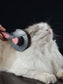 Self-Cleaning Universal Pets Grooming Comb