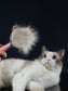 Self-Cleaning Universal Pets Grooming Comb