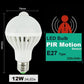 LED PIR Motion / Sound Sensor Lamp - Indigo-Temple