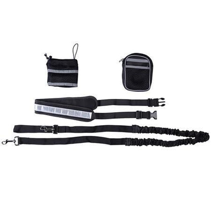 Hands Free-Elastic Dog Leash - Indigo-Temple