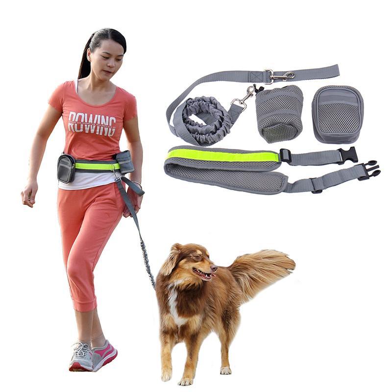 Hands Free-Elastic Dog Leash - Indigo-Temple