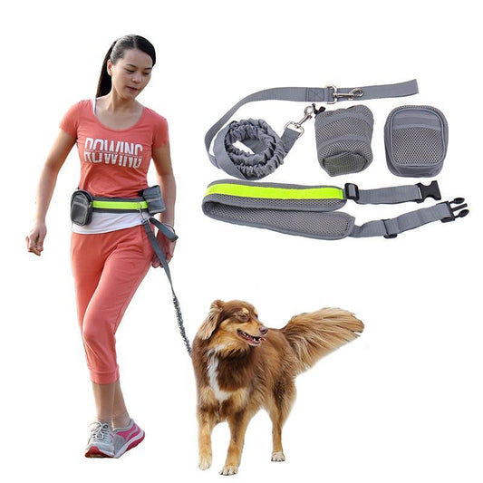 Hands Free-Elastic Dog Leash - Indigo-Temple
