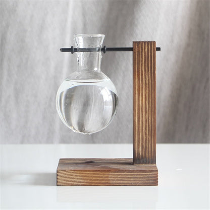 PlantDecor™ Hydroponic Transparent Plant Cocoons